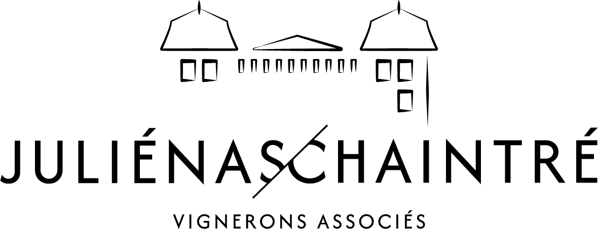 Drive Juliénas Chaintré vignerons associés